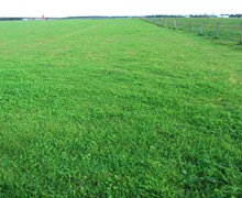 草地整備改良02