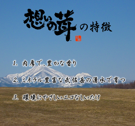 想いの茸の特徴